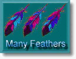 manyf_image.gif (26332 bytes)